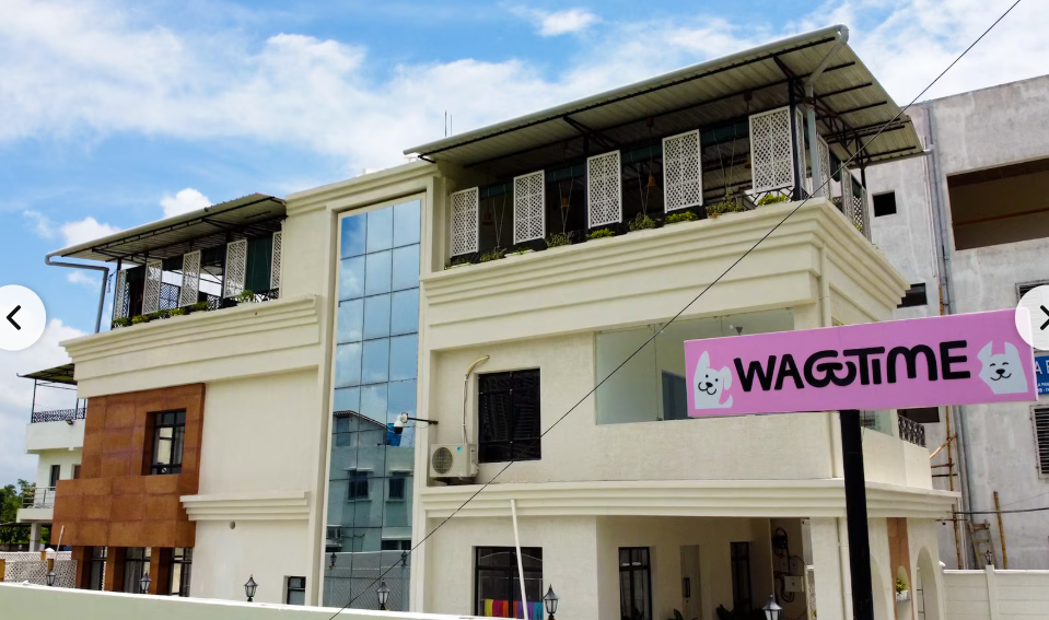 Wagtime Pet Care